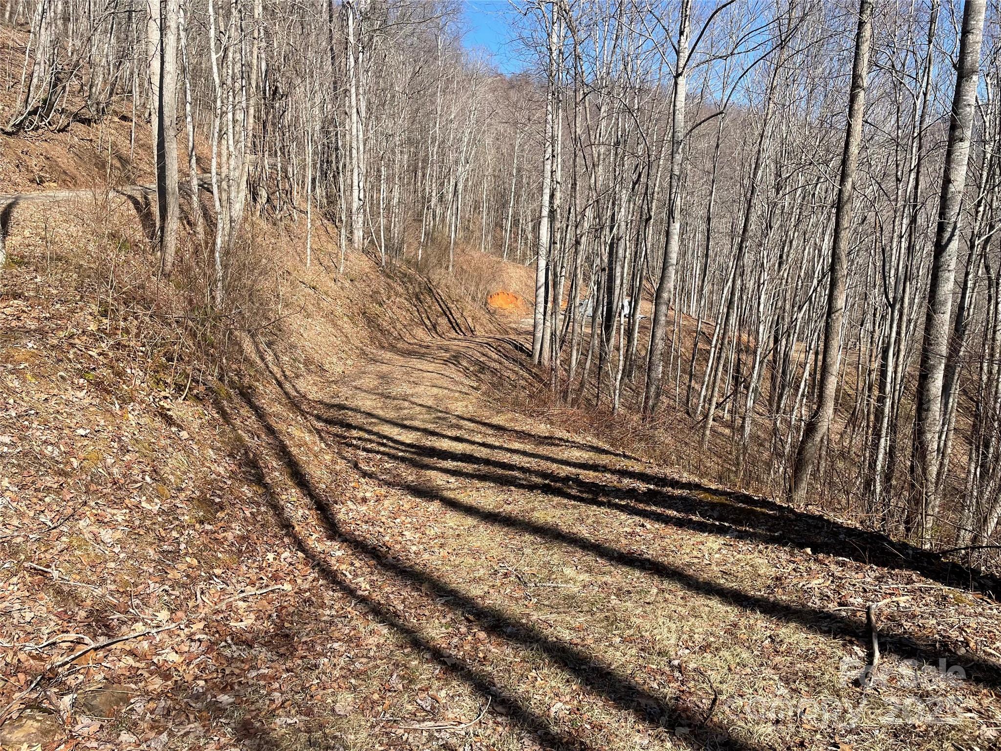 Lt 264 Cabin Flats Road 264