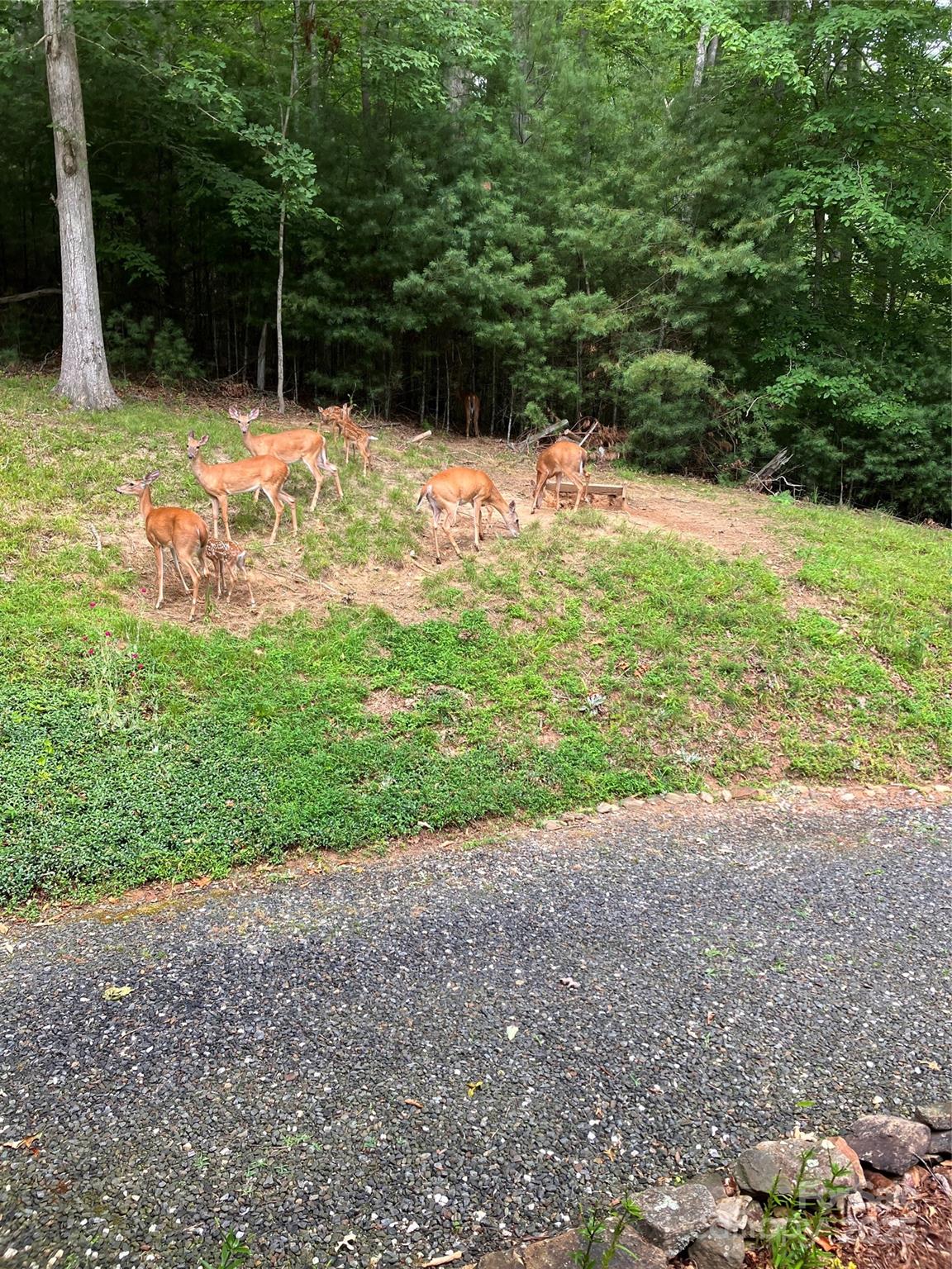 Three Quarter Creek Acres - Residential