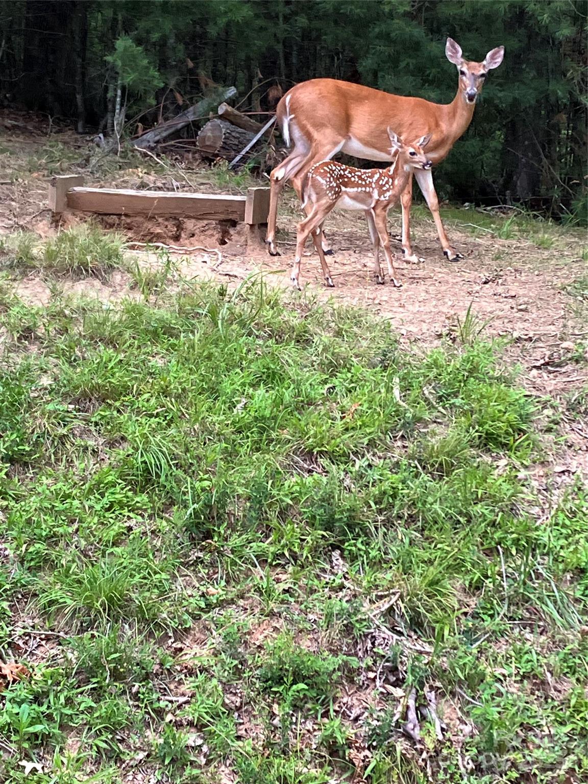 Three Quarter Creek Acres - Residential