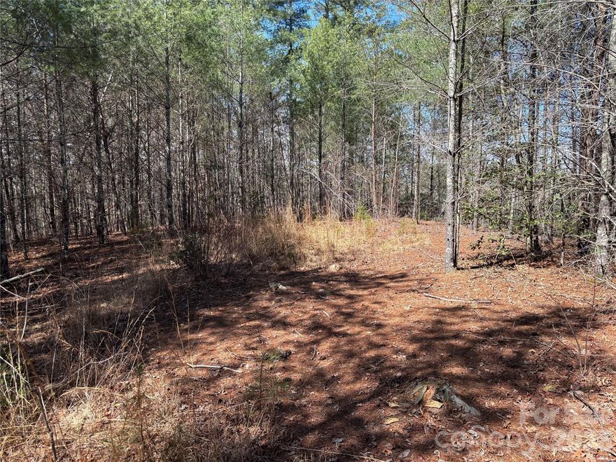 Discover the perfect setting for your mountain dream home on this beautiful 1.87-acre lot in The Coves Mountain River Club. Tucked away at the end of a quiet cul-de-sac, this property offers exceptional privacy and a peaceful setting with picturesque views overlooking rolling horse farms and small mountain vistas in the distance.

The lot features a gently sloping to mostly flat, easy-build homesite—ideal for creating your custom retreat while maximizing the surrounding scenery. Imagine enjoying your morning coffee with views of open pastures and horses grazing, and relaxing evenings with soft mountain silhouettes on the horizon.

Located within The Coves Mountain River Club, you’ll enjoy access to miles of hiking and riding trails, river access along the Johns River, a community clubhouse, fitness center, pool, and year-round social events—all while being surrounded by the natural beauty of the Blue Ridge foothills.

If you’ve been searching for privacy, views, and an ideal build site in a premier mountain community, this is the one.