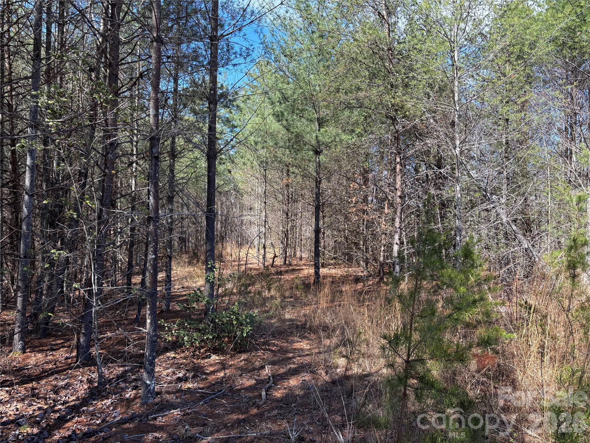 2042 Shadow Ridge Trail G41