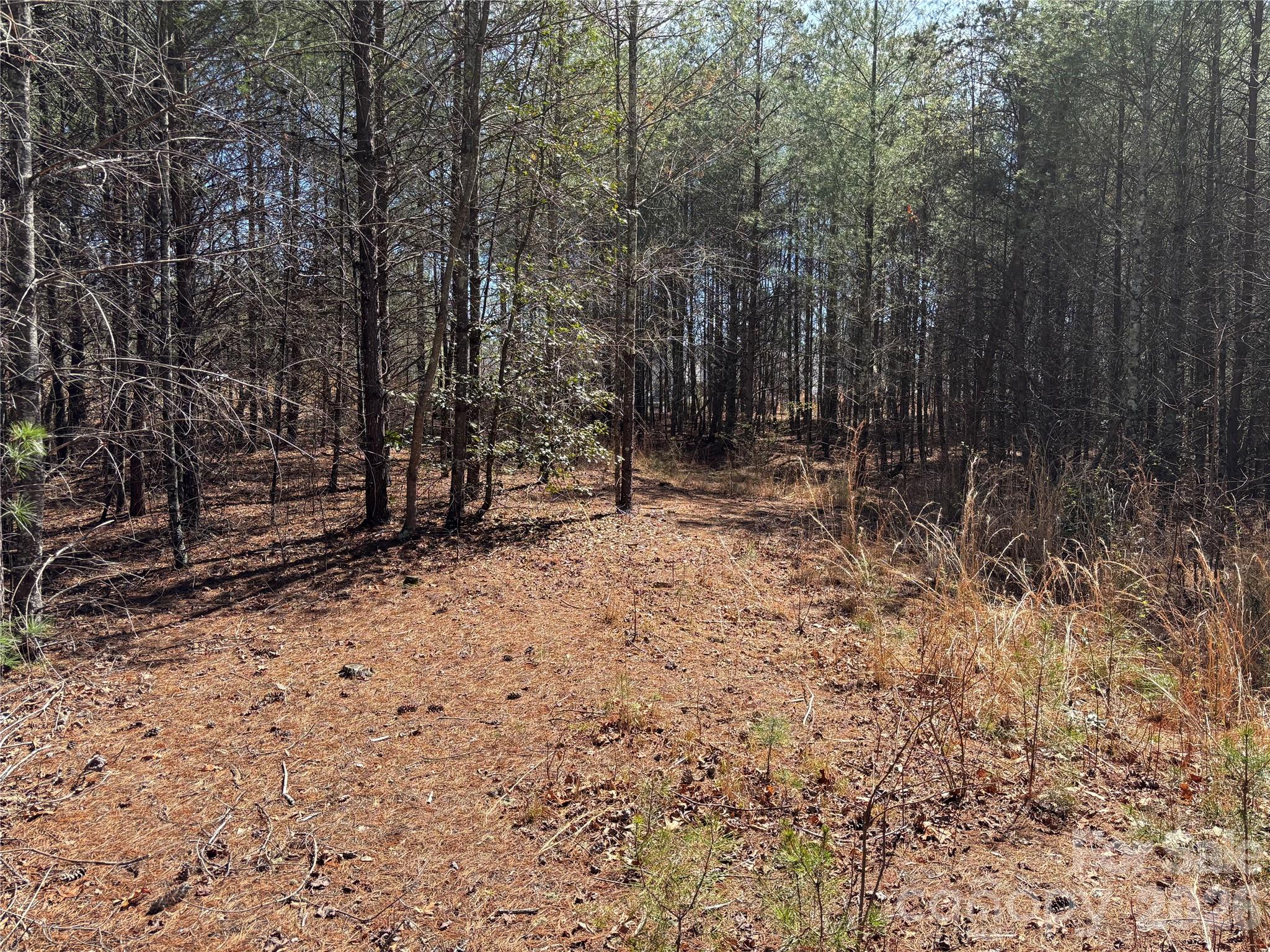 2042 Shadow Ridge Trail G41