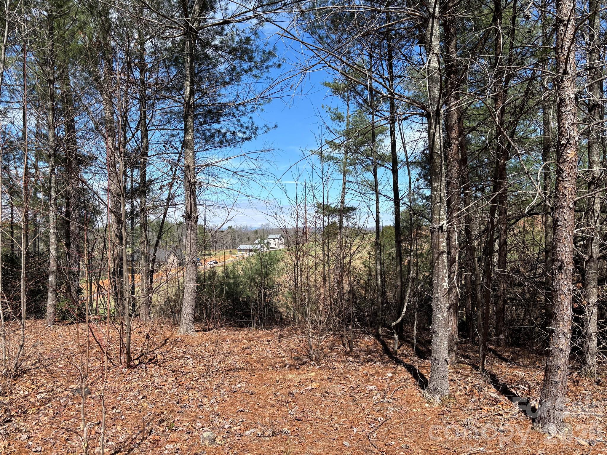 2042 Shadow Ridge Trail G41