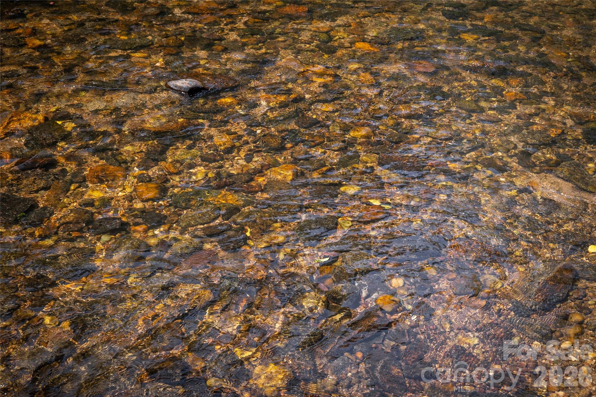 The Coves Mountain River Club - Land