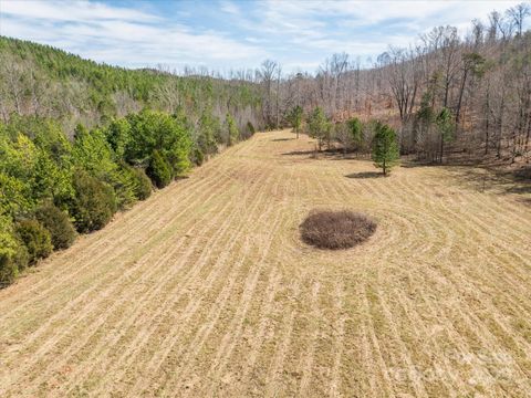 99999 Abrams & Moore Road Mill Spring NC 28756