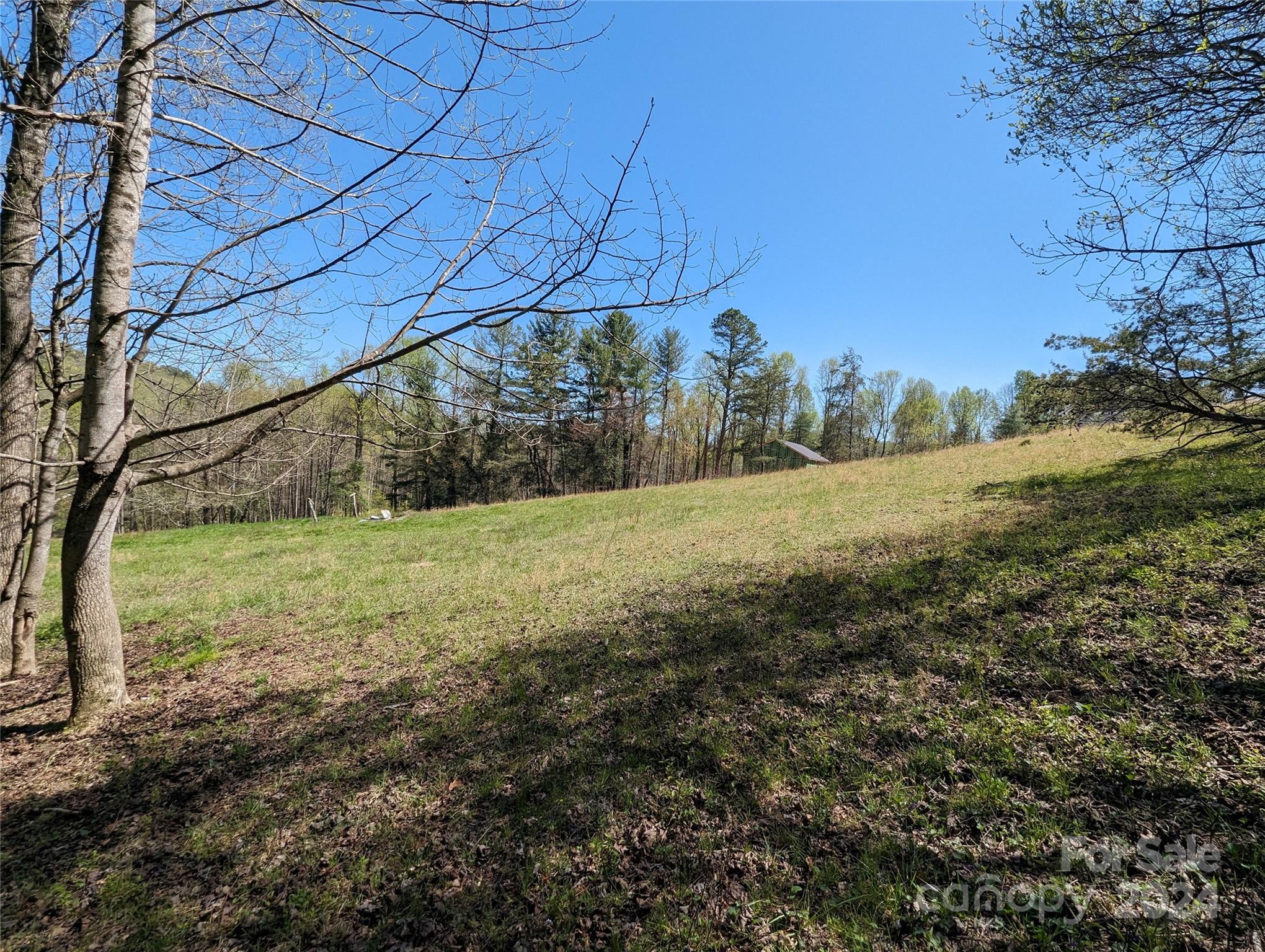 TBD Jaybird Lane
