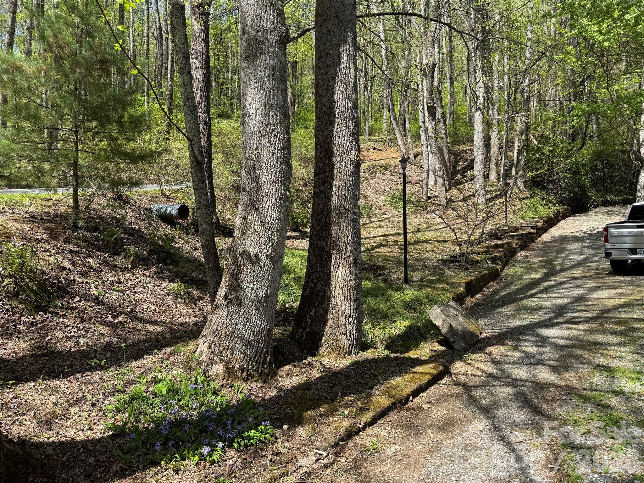 Walnut Creek - Residential