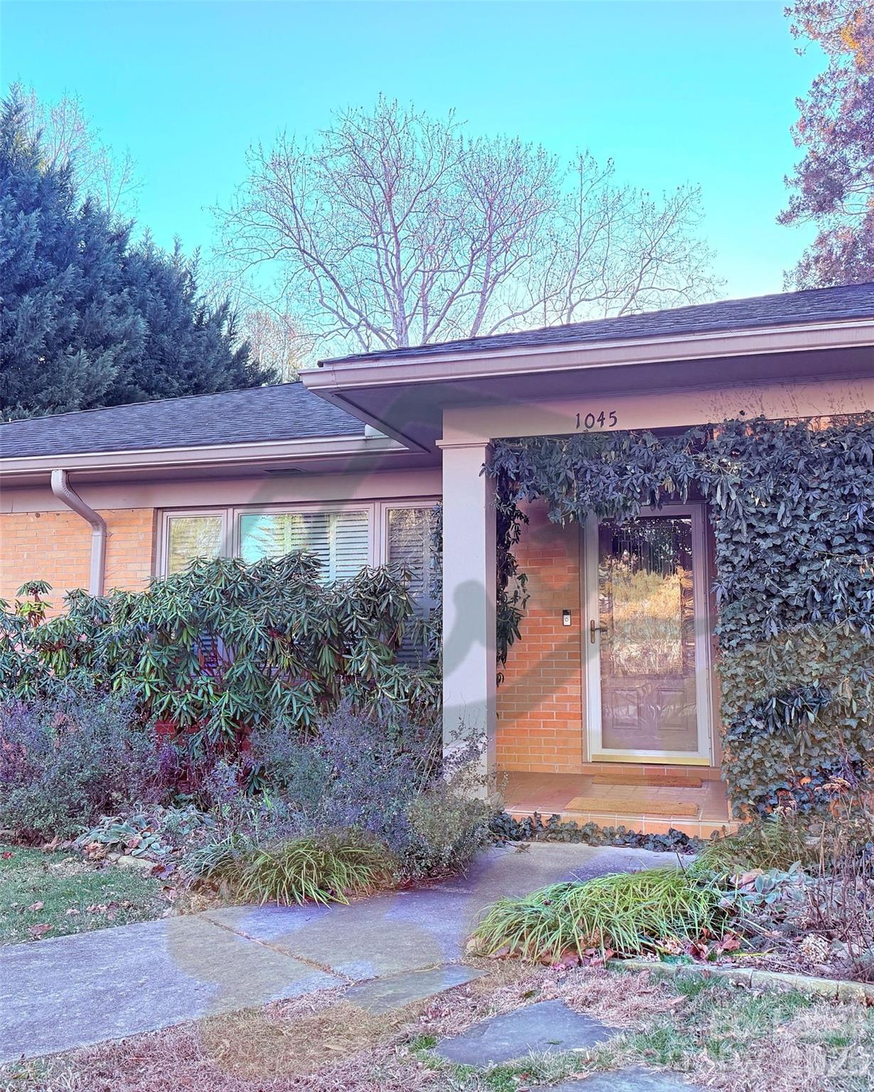 1045 Mountain View Street