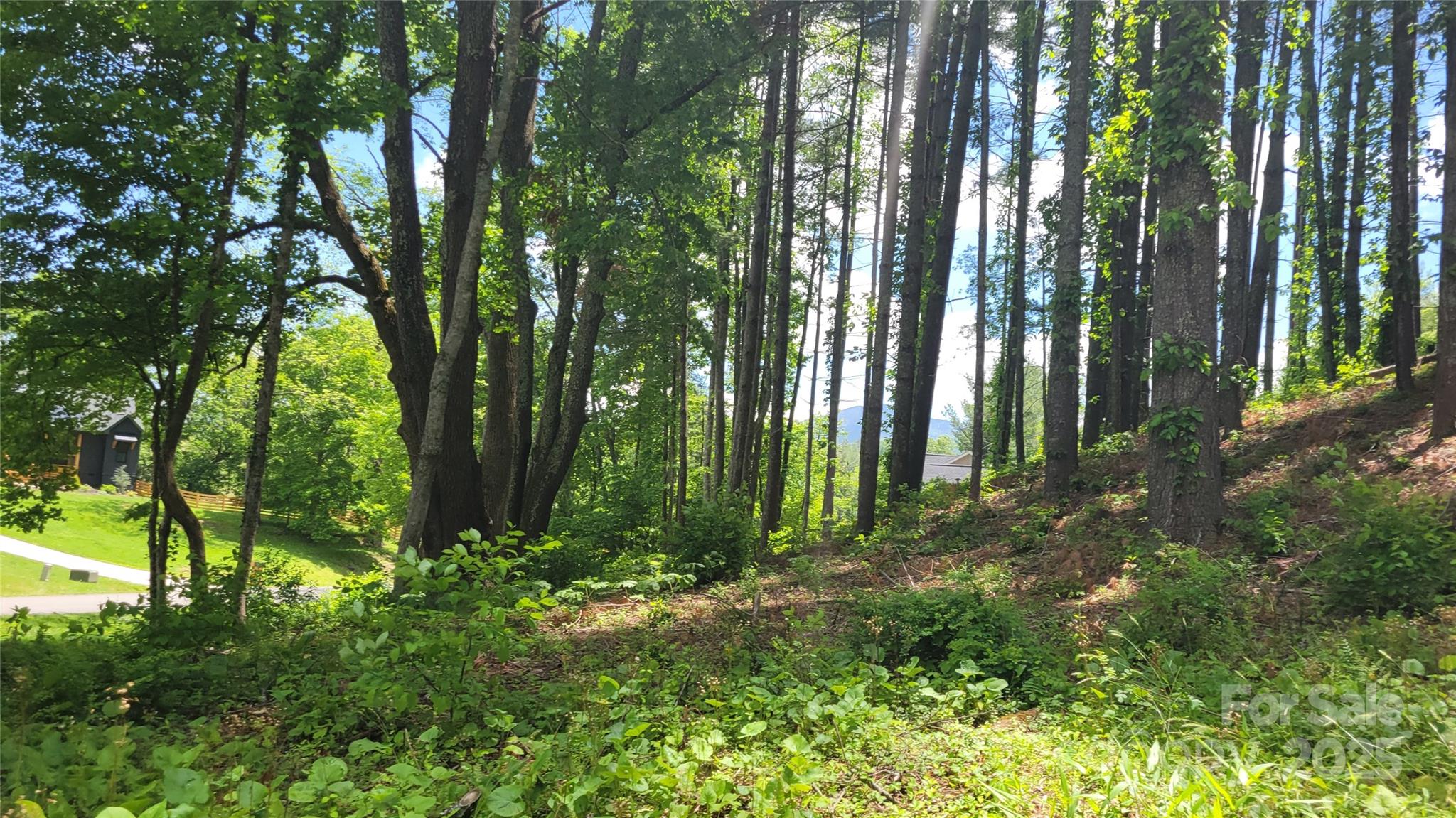 Barebridge Fields - Land