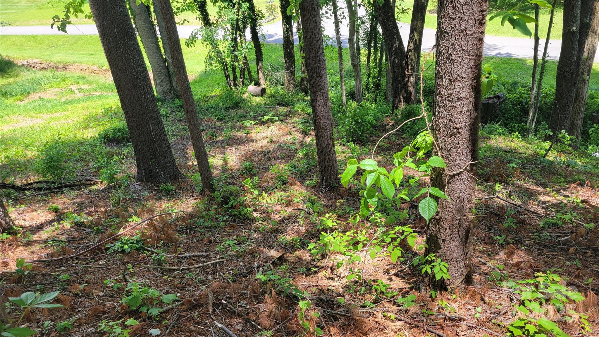 Barebridge Fields - Land