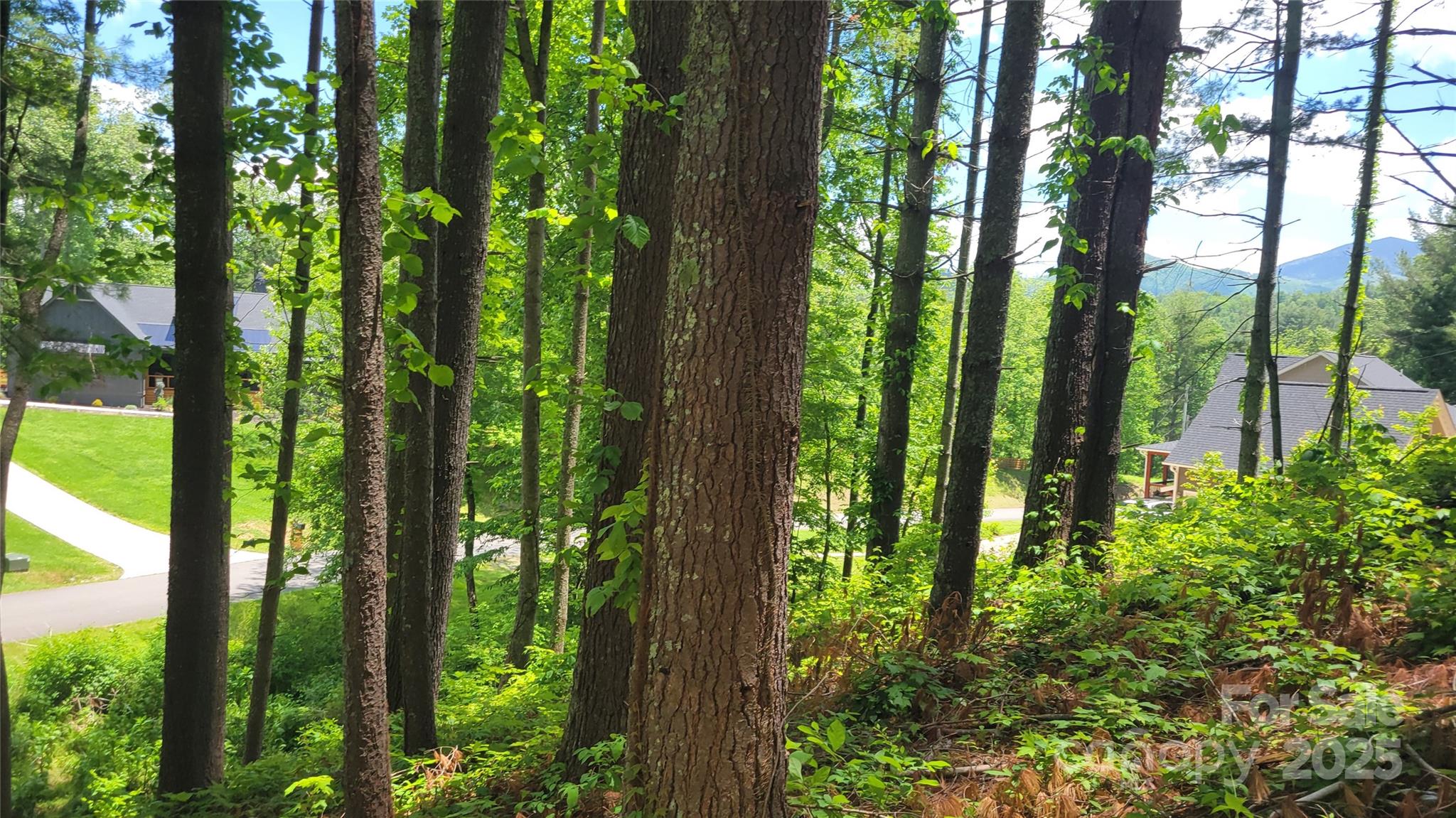 51 Barebridge Fields Road 51