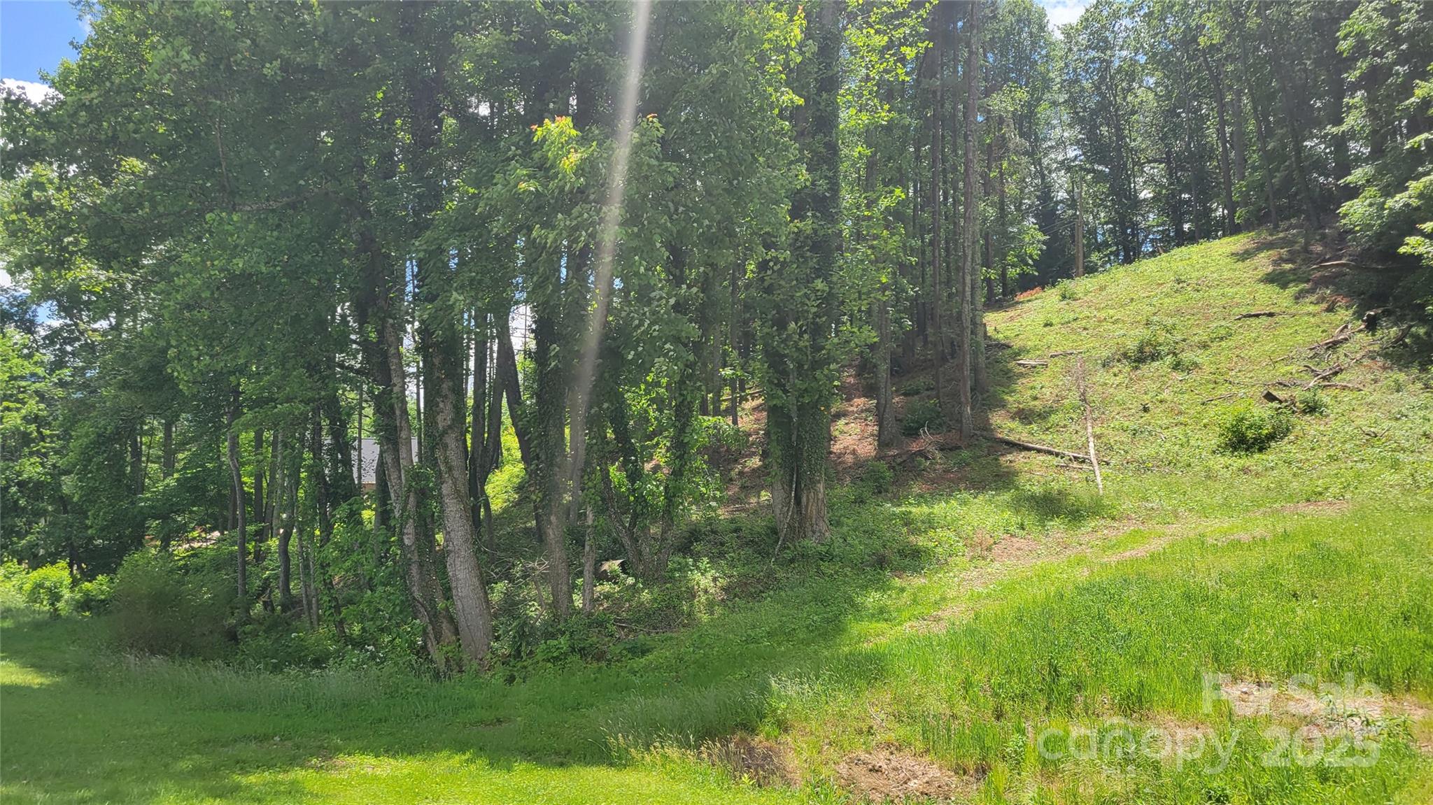 Barebridge Fields - Land