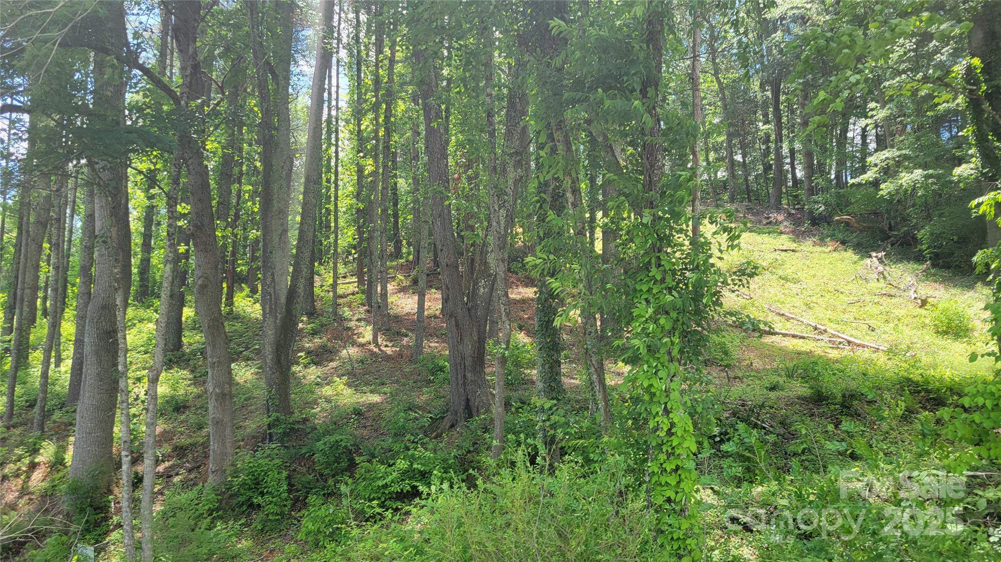 Barebridge Fields - Land