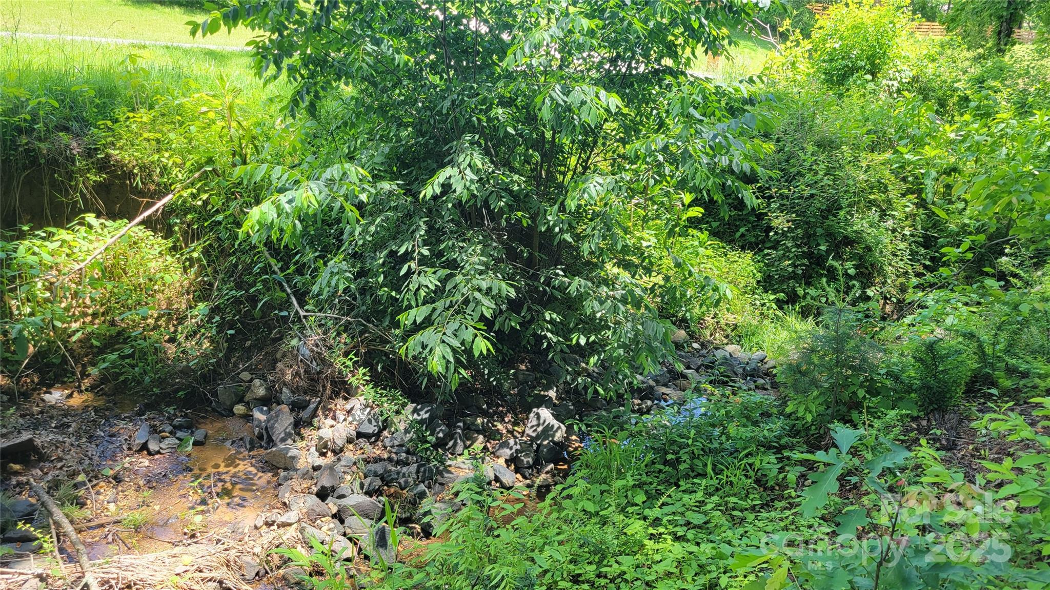 Barebridge Fields - Land