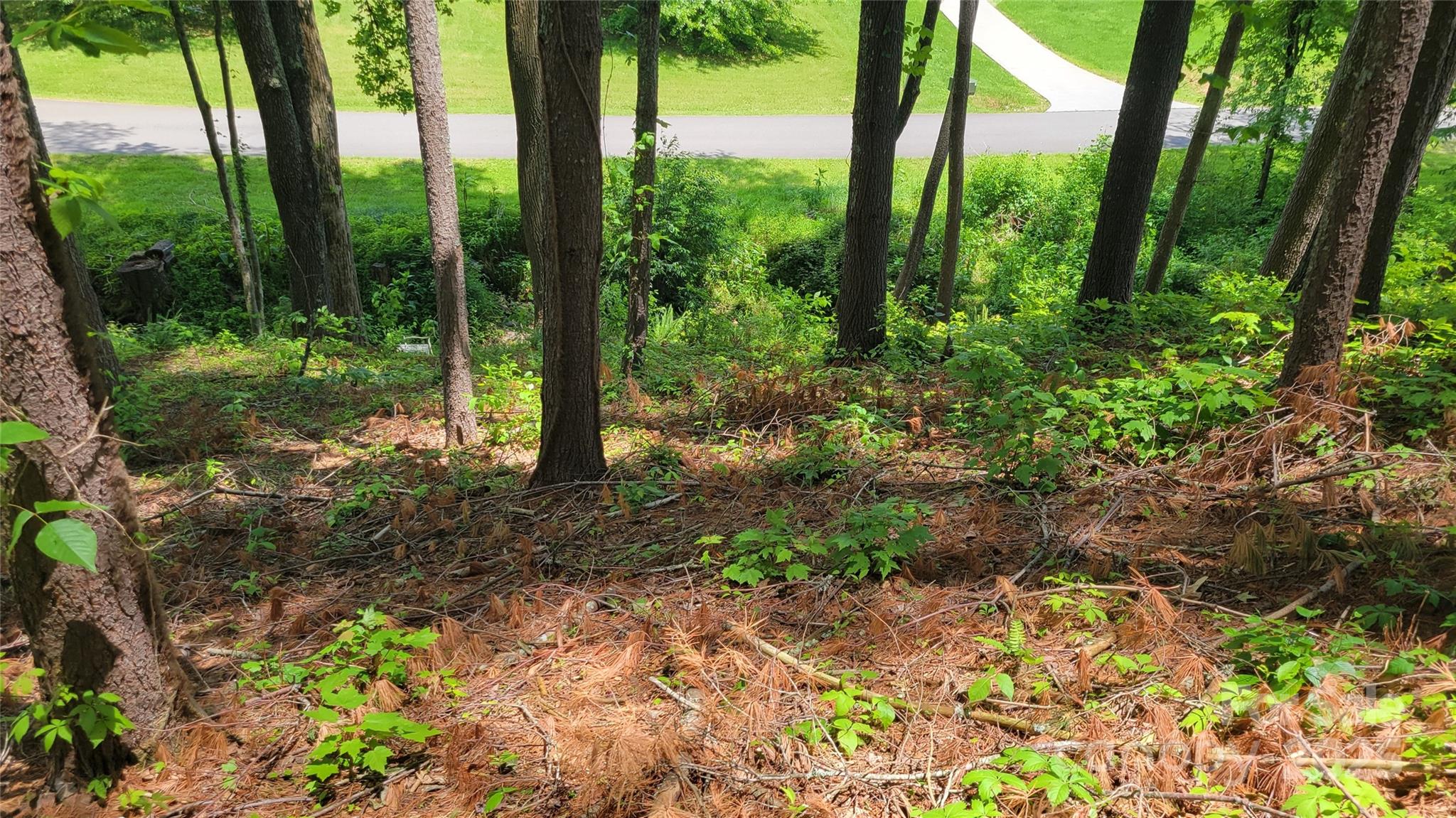 Barebridge Fields - Land