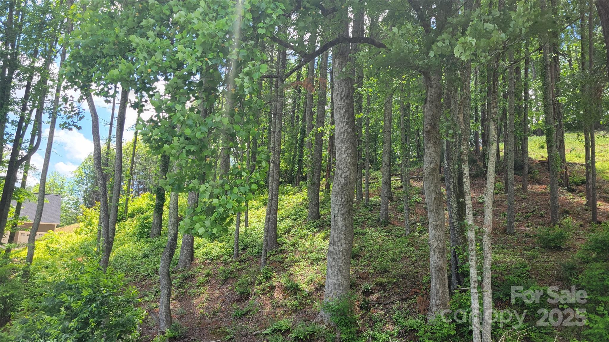 Barebridge Fields - Land