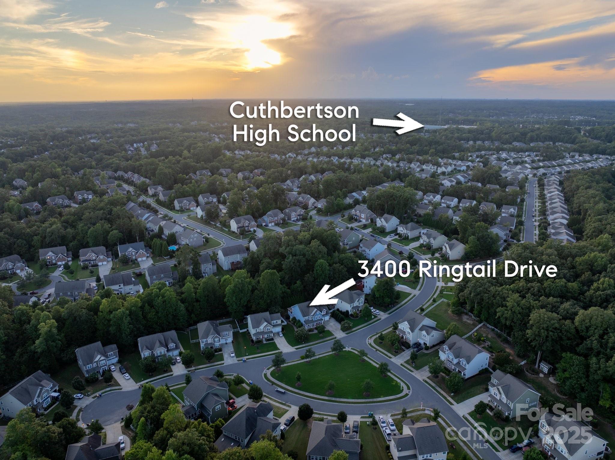 3400 Ringtail Drive