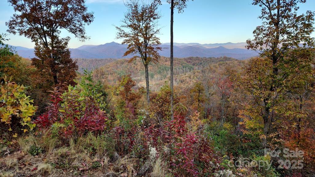0 Mountain Forest Estates Road