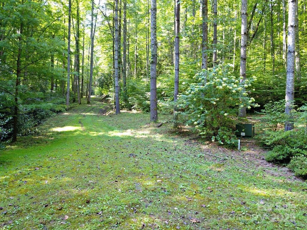 0 Mountain Forest Estates Road