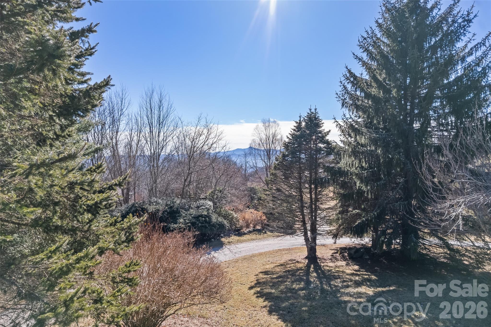 286 Pioneer Ridge Road