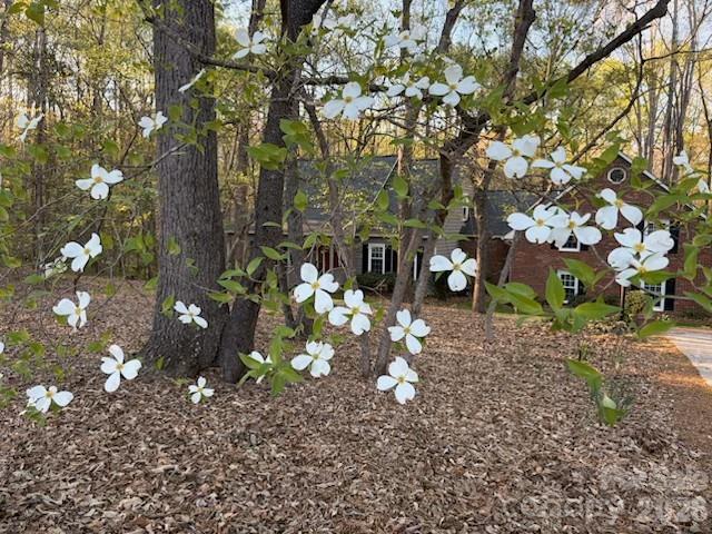 Olde Williamsburg - Residential