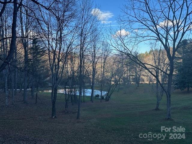 Preserve At Chestnut Flats - Land