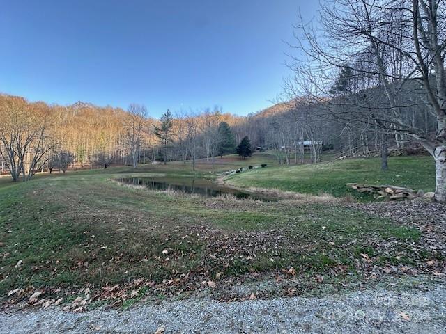 Preserve At Chestnut Flats - Land