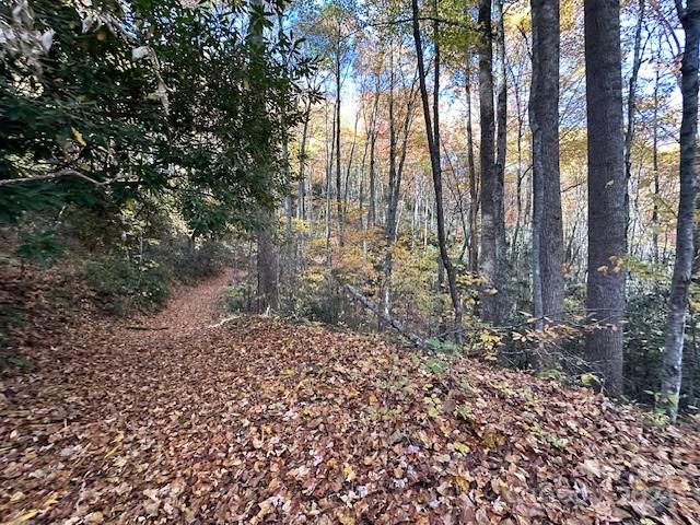 124 & 125 Large Poplar Trail