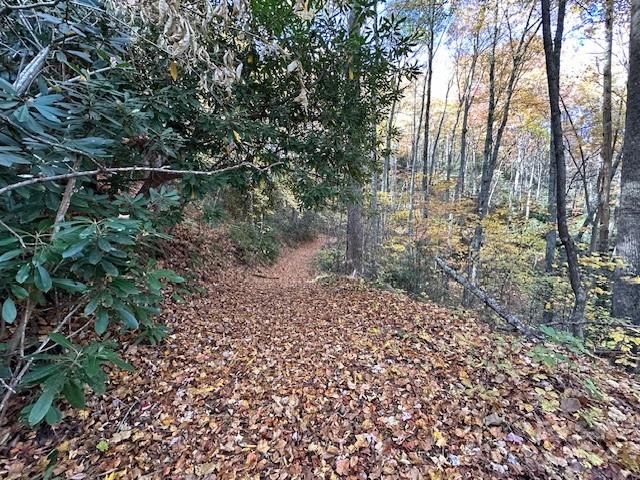 Preserve At Chestnut Flats - Land
