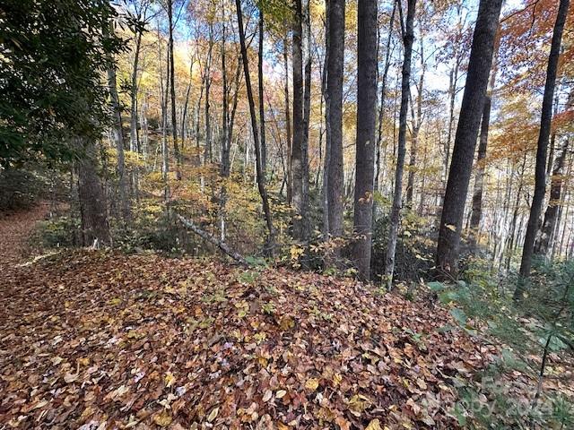 124 & 125 Large Poplar Trail