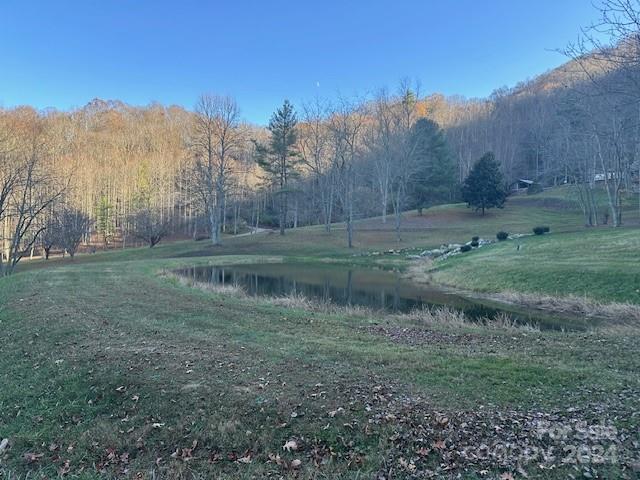 Preserve At Chestnut Flats - Land