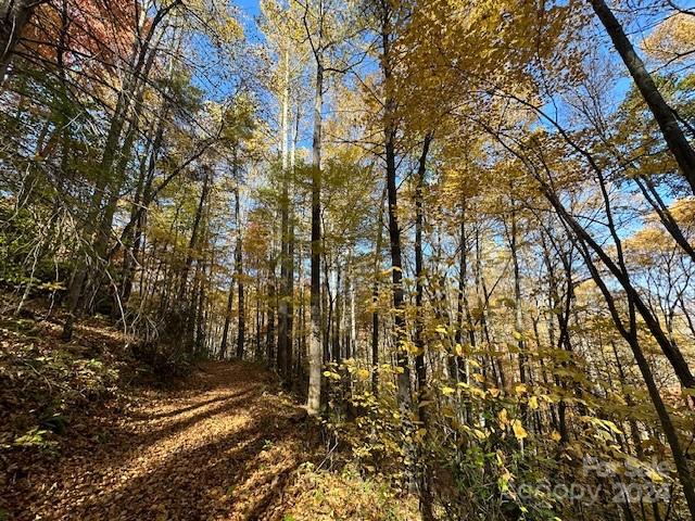 Preserve At Chestnut Flats - Land