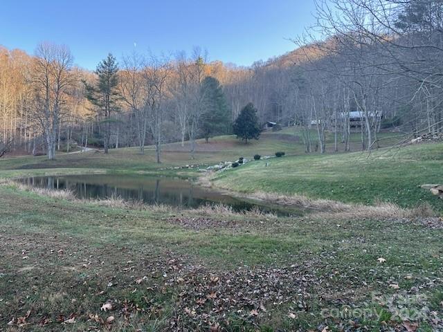 Preserve At Chestnut Flats - Land