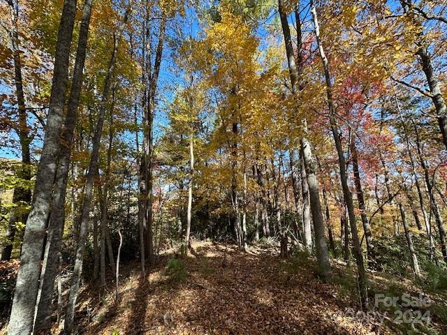 Preserve At Chestnut Flats - Land