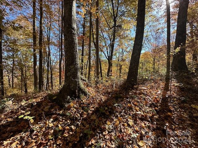 Preserve At Chestnut Flats - Land