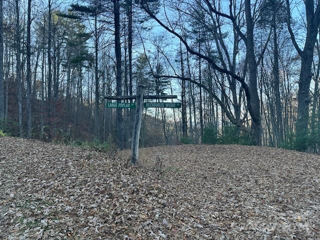 Preserve At Chestnut Flats - Land