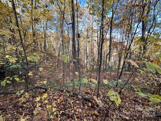 Preserve At Chestnut Flats - Land