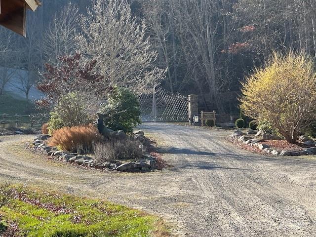 Preserve At Chestnut Flats - Land