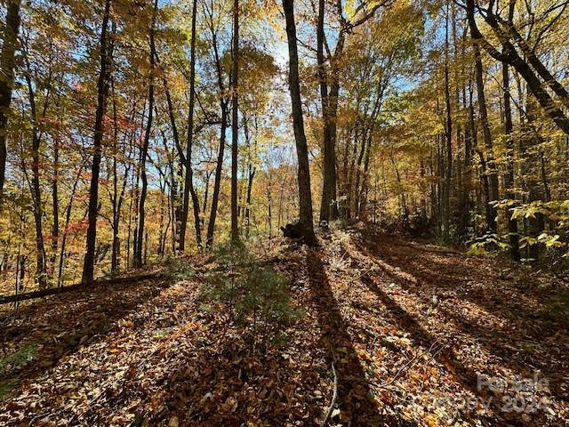 Preserve At Chestnut Flats - Land