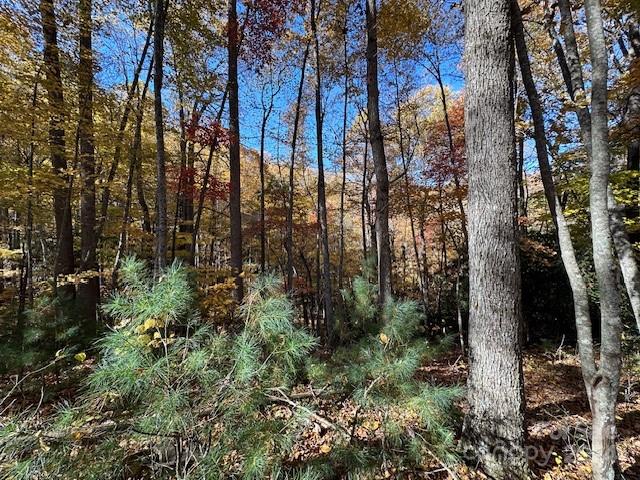 Preserve At Chestnut Flats - Land