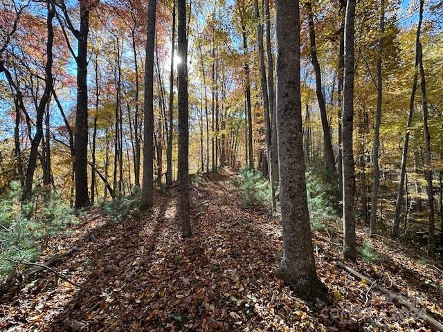 Preserve At Chestnut Flats - Land