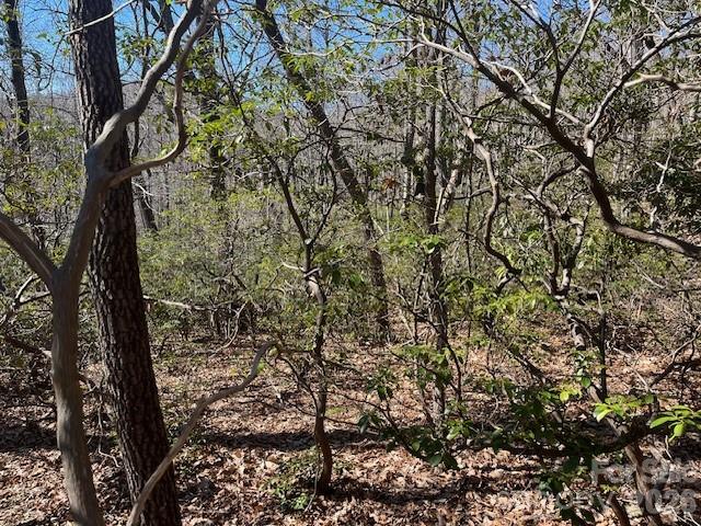 Lot 79 Arrowhead Trail