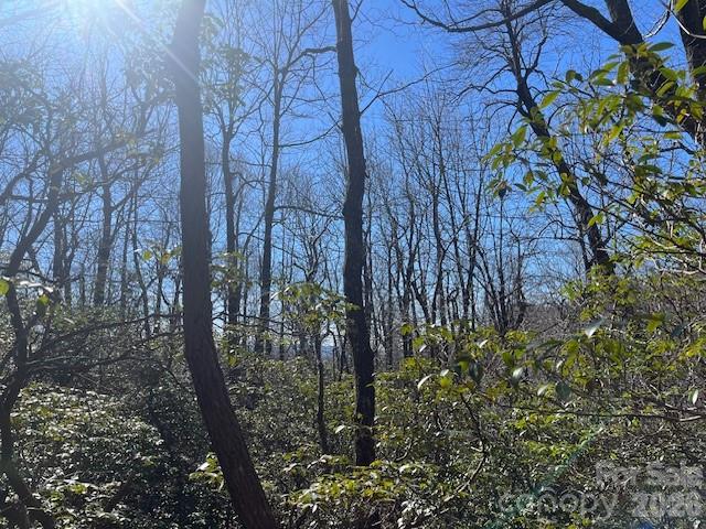 Lot 79 Arrowhead Trail