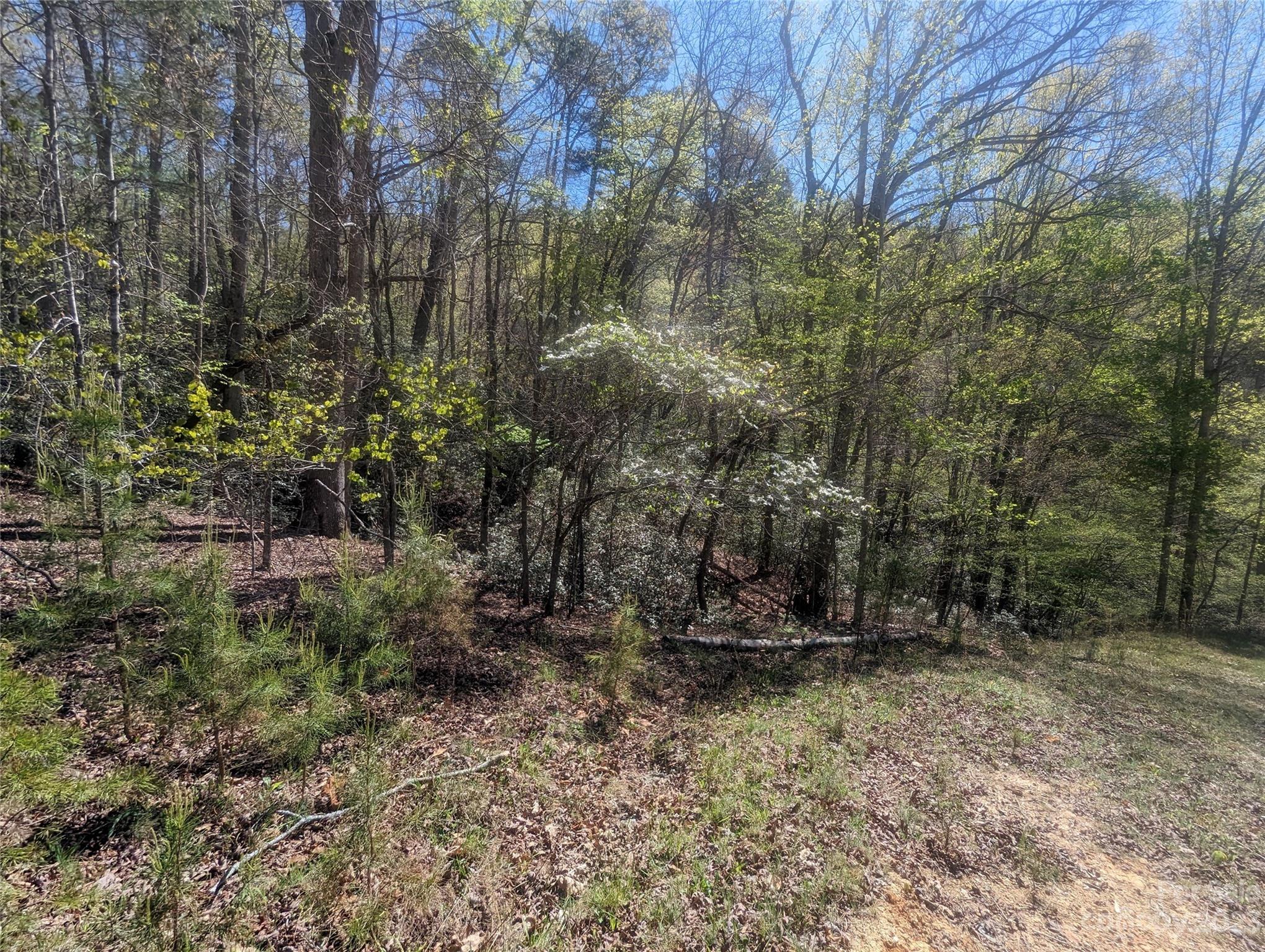 Riverbend at Lake Lure - Land