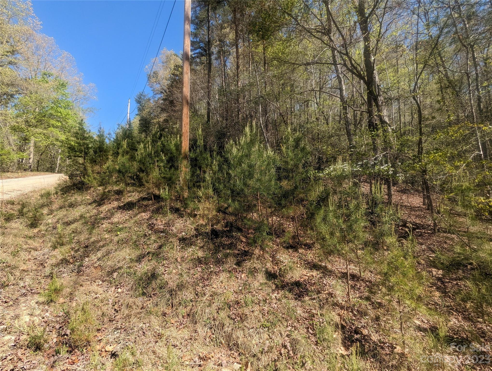 Riverbend at Lake Lure - Land