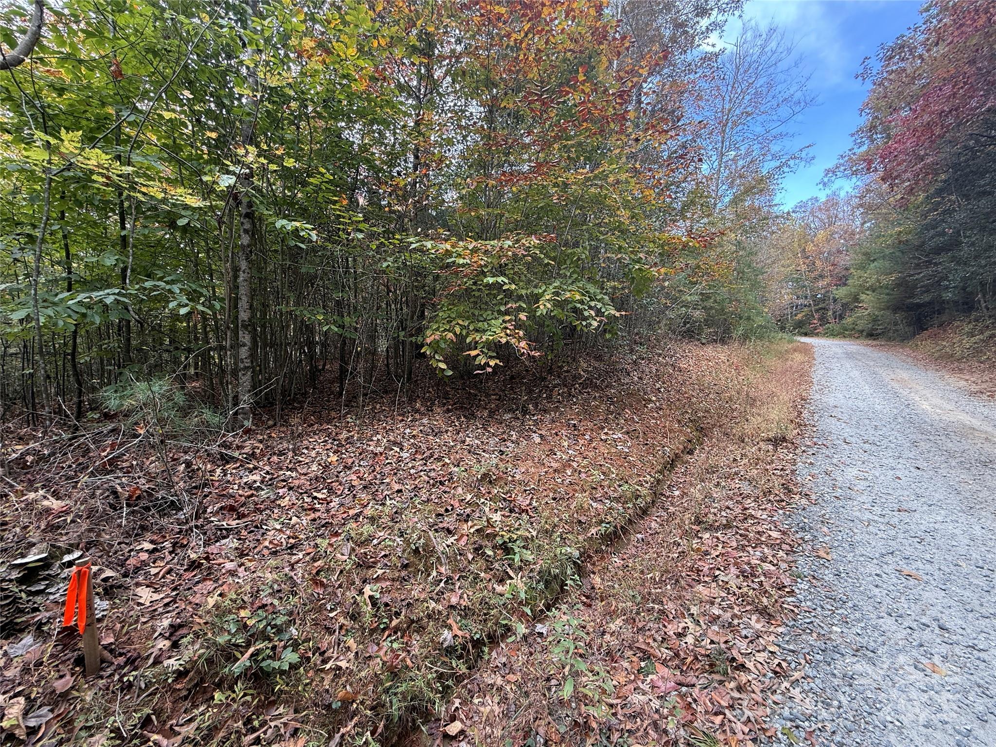 MASTERPIECE MEADOWS - Land