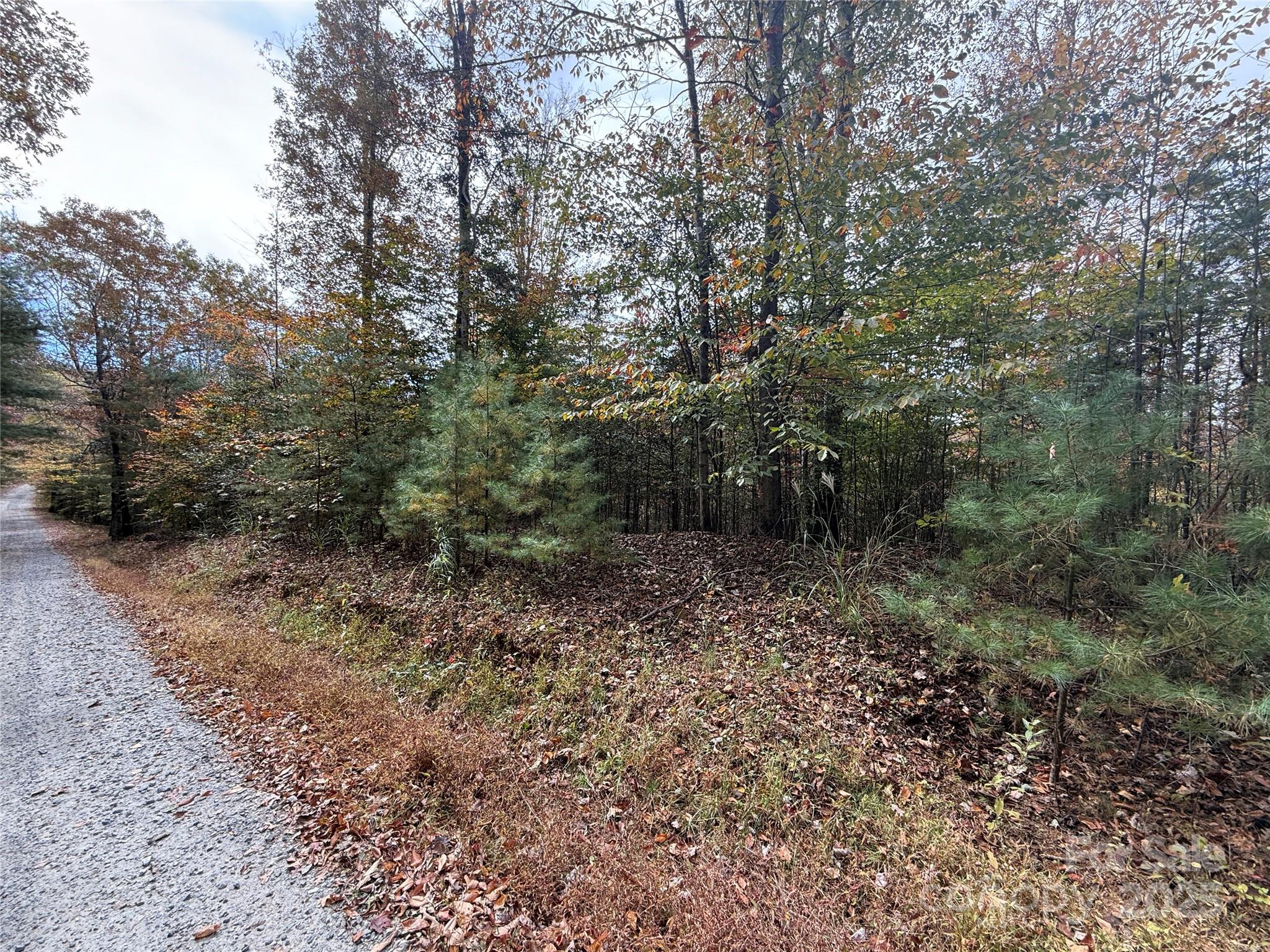 MASTERPIECE MEADOWS - Land