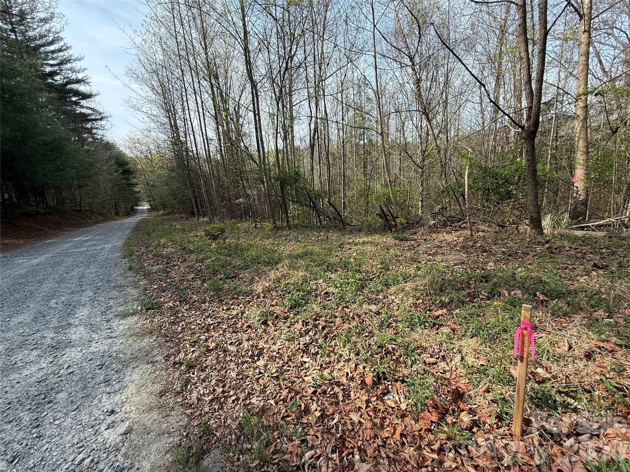 MASTERPIECE MEADOWS - Land