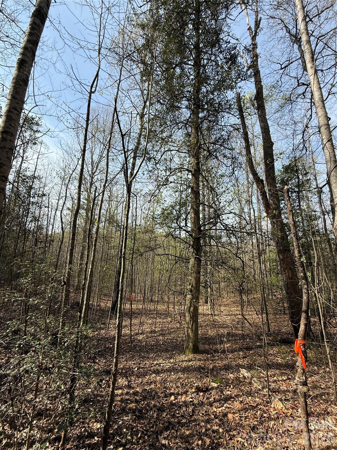 MASTERPIECE MEADOWS - Land