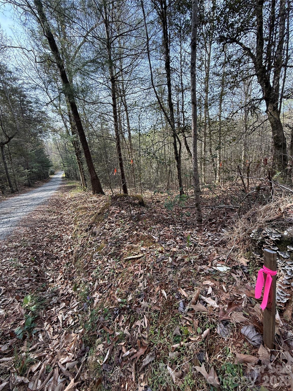 MASTERPIECE MEADOWS - Land